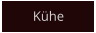 Kühe