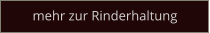 mehr zur Rinderhaltung