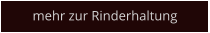 mehr zur Rinderhaltung