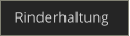 Rinderhaltung
