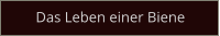 Das Leben einer Biene