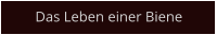 Das Leben einer Biene