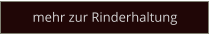 mehr zur Rinderhaltung