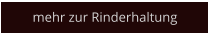 mehr zur Rinderhaltung