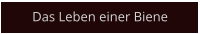 Das Leben einer Biene
