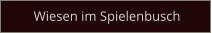 Wiesen im Spielenbusch